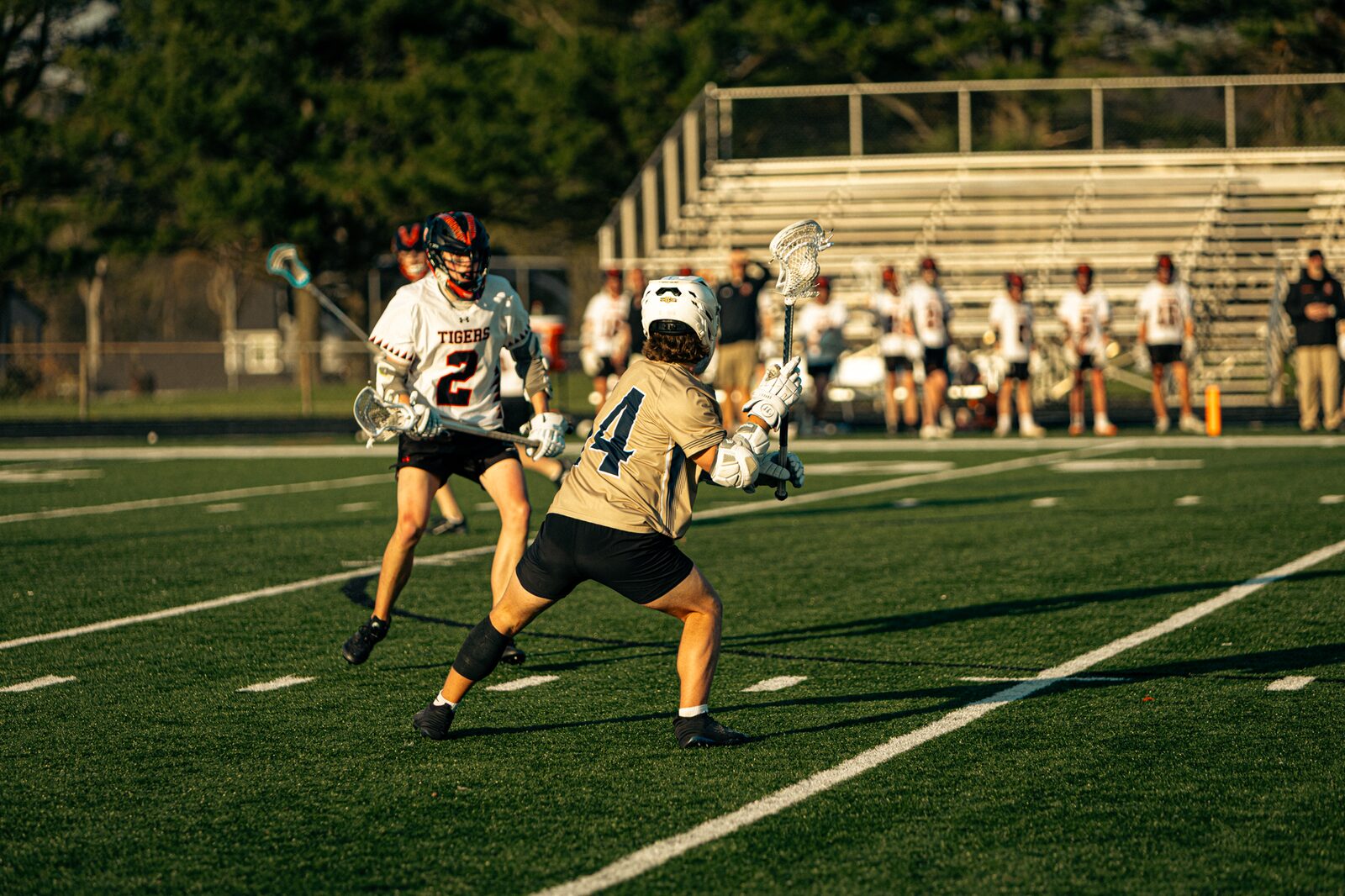 Two lacrosse players facing off one on one in warm late day light